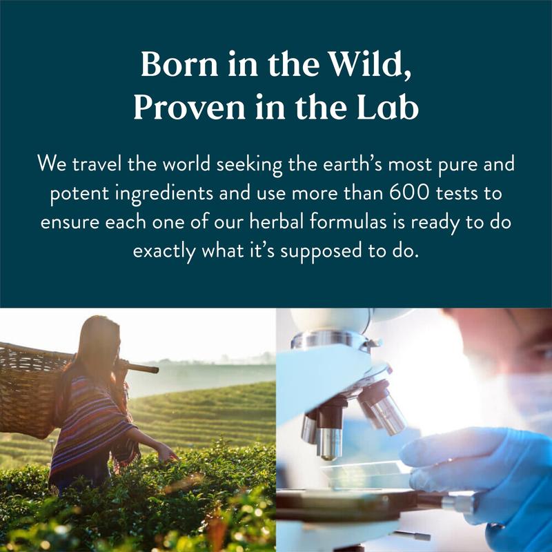 Kivora Lymph Drainage Drops